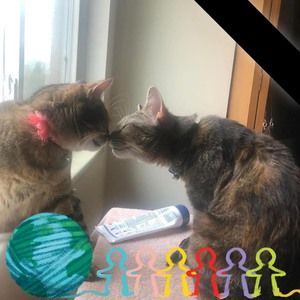 Meet your Posher, Kimberly